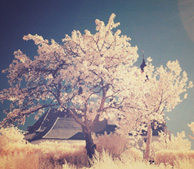 在线DDOS压力测试网页端